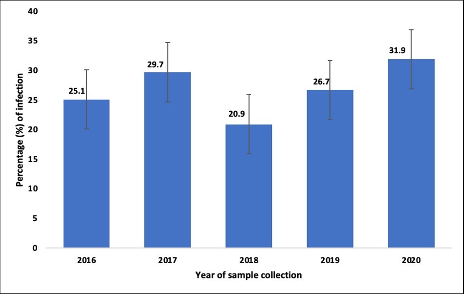 Prevalence of Intestinal Protozoa Infection according to the year of sample collection