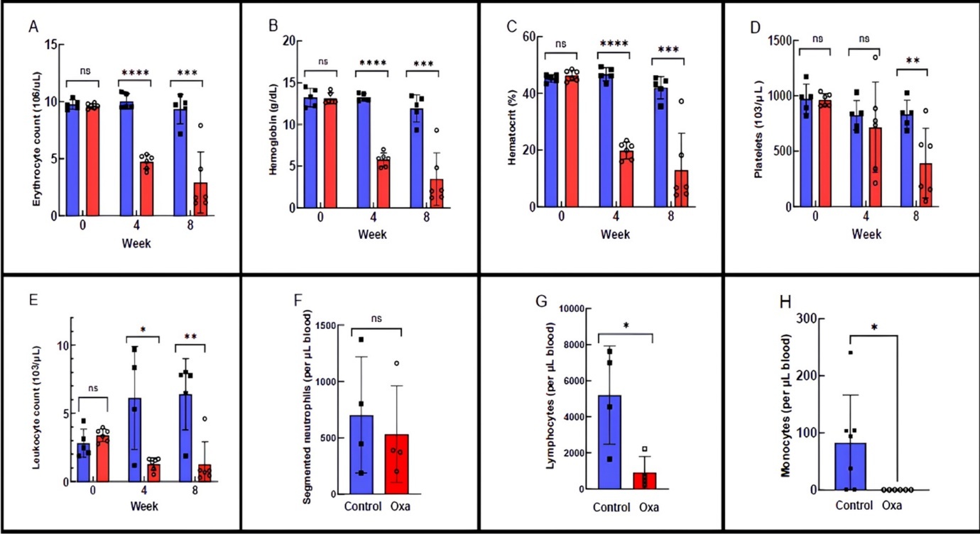 Effects of oxaliplatin on mouse blood parameters. A). Erythrocyte count. B). Hemoglobin. C). Hematocrit. D). Platelets. E). Leukocyte counts. F). Calculated segmented neutrophil counts. G). Calculated lymphocyte counts. H). Calculated monocyte counts. Bars represent the average ± STD with individual data points. T-test results are indicated by brackets. Statistical significance marks: *=p<0.05, **=p<0.01, *** = p<0.001, **** = p<0.0001