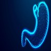 Journal of Pancreas - cancer