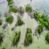 Journal of Tropical Diseases and Medicine - environmental epidemiology 